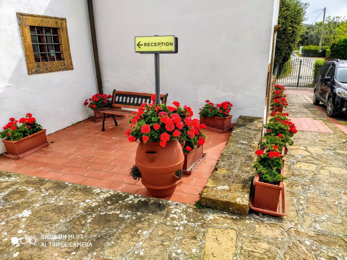 Апартаменти Borgo La Casaccia Монтайоне Екстер'єр фото
